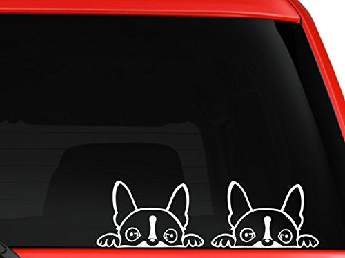 Boston Terrier Peeking Vinyl Car Decal - 6" Cute Dog Sticker