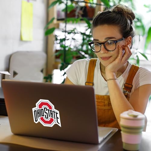 Ohio State Buckeyes Auto Decal - 8 Inch Team Color Sticker