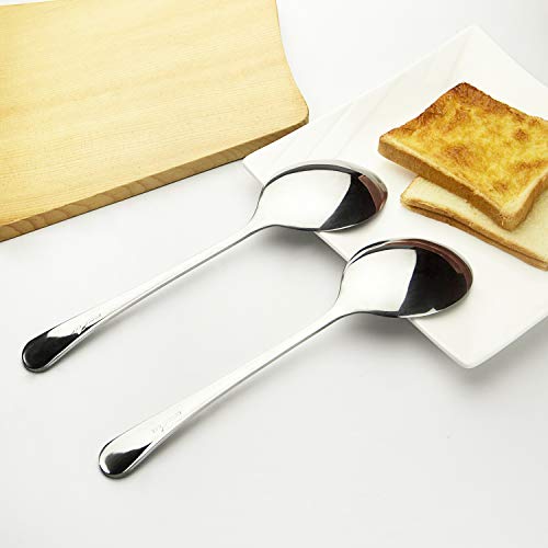 AOOSY 6-Pack Large Serving Spoons 9.8in Buffet Utensils Silver