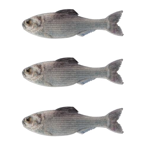 Panorama Soft Plastic Fishing Lure - Live Shad 5.0" (3/pk)