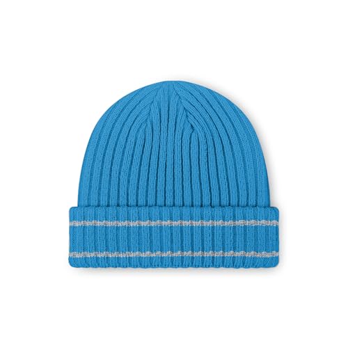 Detroit Lions NFL Team Logo Ribbed Beanie - One Size