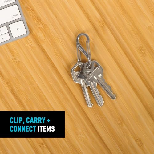 Nite Ize SB1-11-6R3 S-Biner Dual Carabiner Pack of 1 Stainless Steel Key Holder