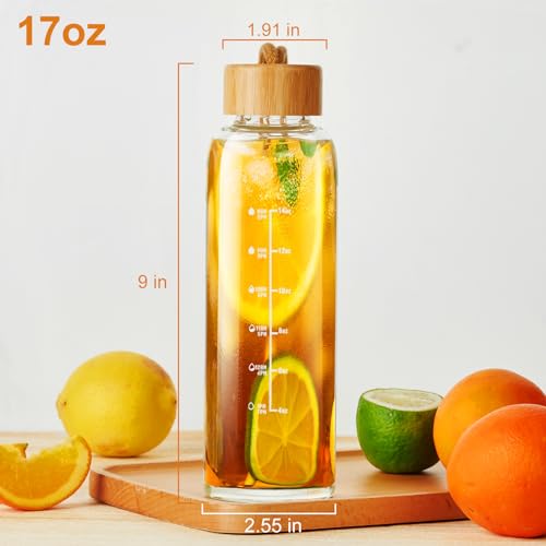 17oz Borosilicate Glass Water Bottle with Lid & Time Marker