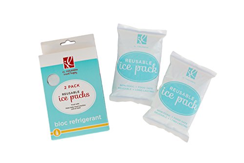 Reusable Freeze Solid Ice Packs for Cooler & Lunch Box - 2 Count