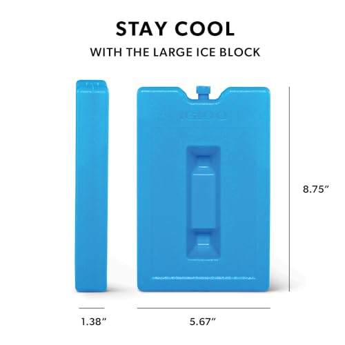 Maxcold Ice Block - 2 Pack Large, Non-Toxic Freezable Gel