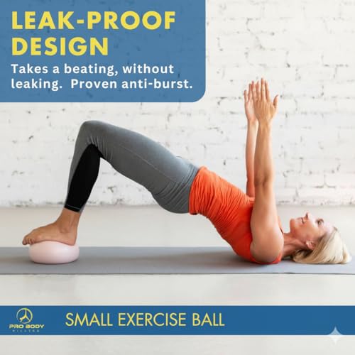 9-Inch Pilates Ball - Anti-Burst PVC, Between-Knees Stability - Rose