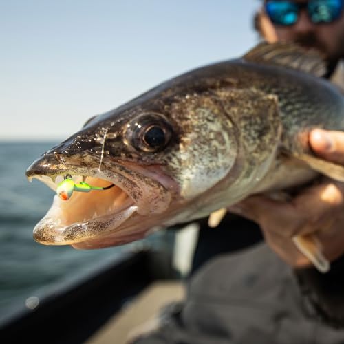 Short Shank Tungsten Fishing Jig for Walleye - Silver, 1/4 Oz