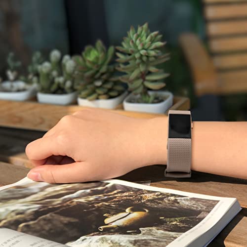 Adjustable Sport Bands for Fitbit Charge 2 - 3 Pack, Starlight/Milk Tea/Smoke Violet, Large