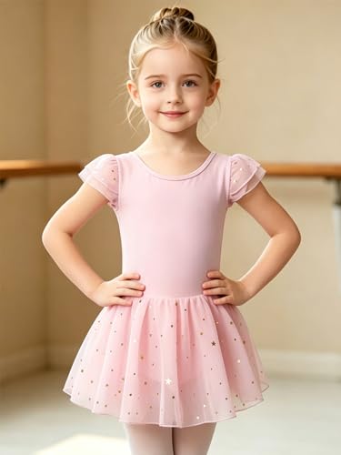 Toddler Girl Ballet Leotard Sparkly Dance Dress 4-5T Pink Outfit