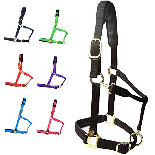 Adjustable Horse Halter - Heavy Duty Nylon with Padded Neoprene - Black, Full (L)