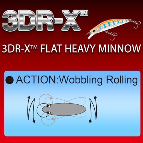 3DR-X Flat Heavy Minnow Sinking Lure - Prism Gold Black / 1-5/8"
