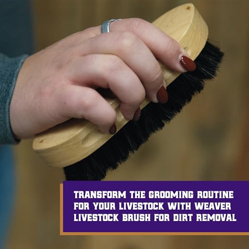 Livestock Grooming Brush - Wooden Barn Brush for Goats, Sheep, Pigs, Cattle
