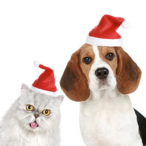 Pet Halloween Costume Hat for Cats & Dogs - Red