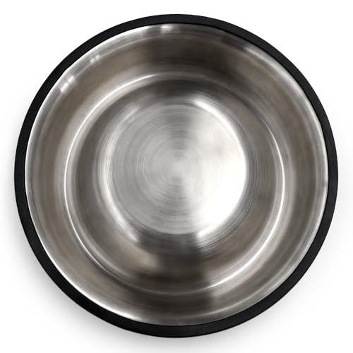 Large Iowa State Cyclones Pet Bowl - Durable Stainless Steel