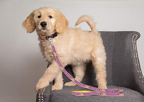 NCAA Dog Leash - Medium LSU Tigers, Durable Heavy-Duty Nylon
