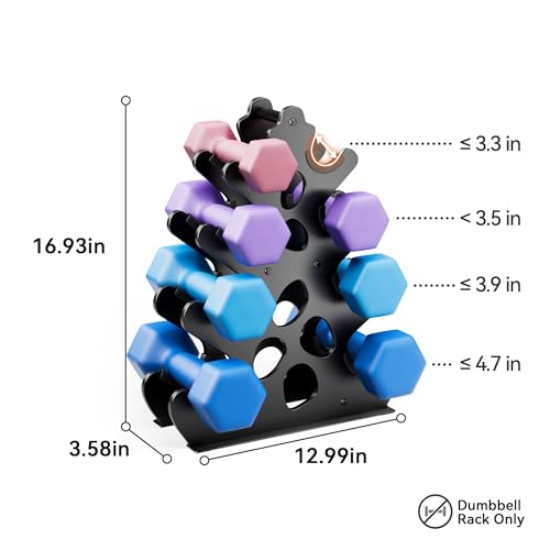 4 Tier Dumbbell Rack - Space-Saving Weight Stand for Home Gym