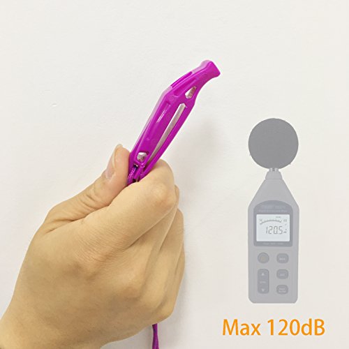 Emergency Whistle with Lanyard - Blue & Purple