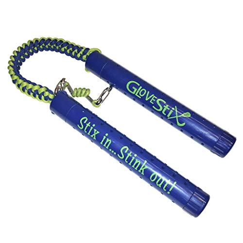Silver Seal Odor Eliminator & Moisture Absorber for Sports Gear Shoes Gloves