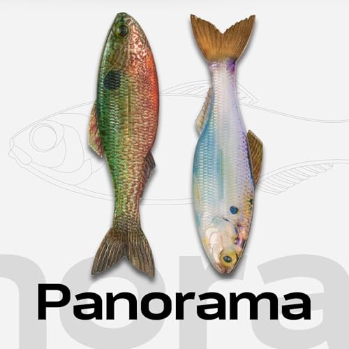 Panorama Soft Plastic Fishing Lure - Live Crappie 5.0" (3/pk)