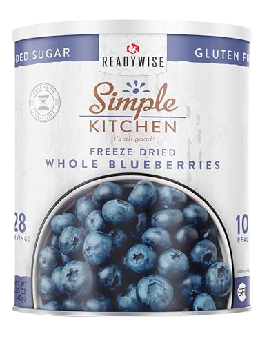 ReadyWise Freeze Dried Blueberries - Whole Blueberries 28 Servings for Camping & Snacks
