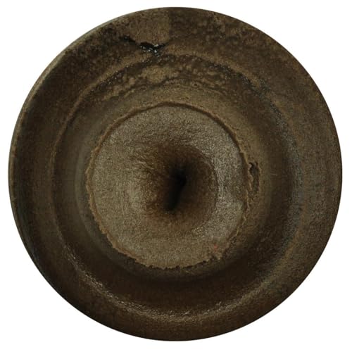 PowerBait Trout Fishing Dough Bait - 1.75 oz Jar - Rainbow