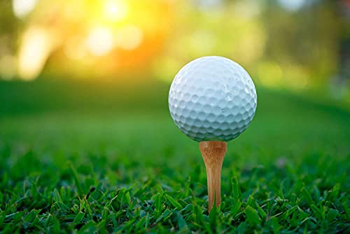 Wooden Golf Tees - 2 3/4 Inch, Pack of 100 - Natural