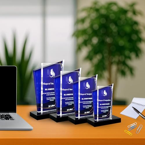 Custom Acrylic Award Plaque - 12-Inch Victory Trophy for Recognition