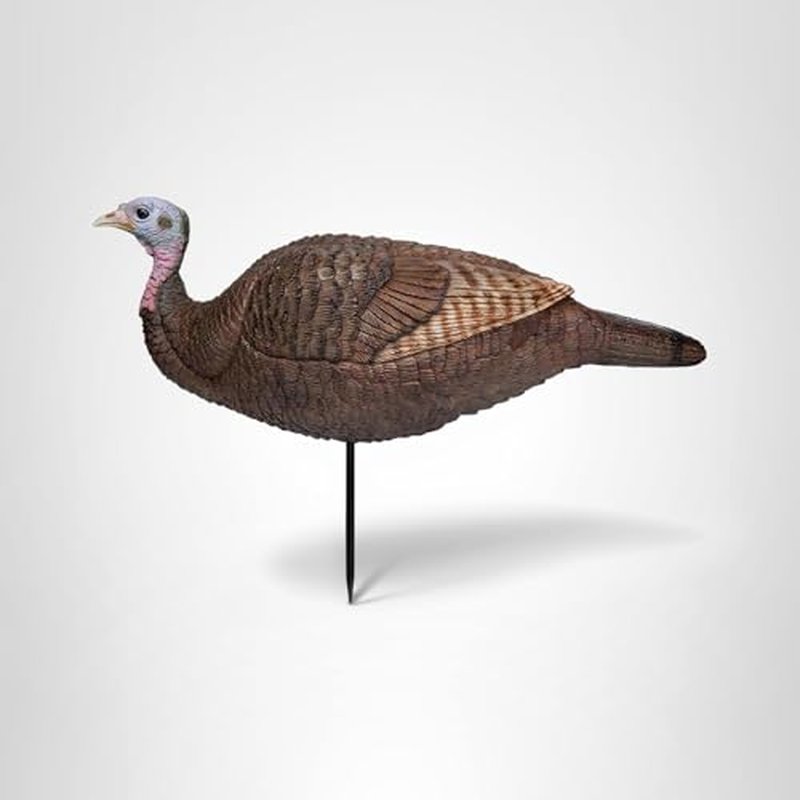Primos Hunting Lil Gobstopper Hen Turkey Decoy Light-Weight, Collapsible Hunting Decoy 69073, Multicolor