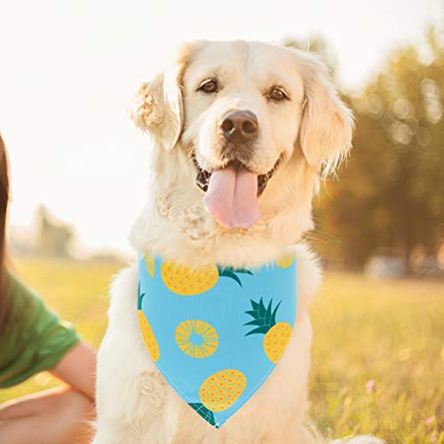 Cooling Dog Bandana Set - 4 Pack Watermelon Fruit Scarf - Large