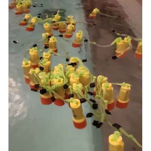 Sirius Signal F1-CR123 80 Lumen Floating IP68 Waterproof LED Flashlight with Lanyard