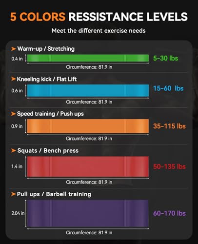 Pull Up Assistance Bands Set of 5 - Multicolor (5-145lbs) Heavy Duty Resistance Bands for Home Workout & Strength Training