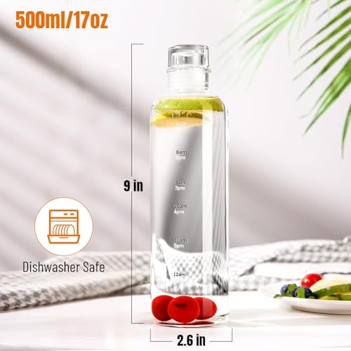 Clear Glass Water Bottle with Time Marker - 17 oz Hydration Tracker