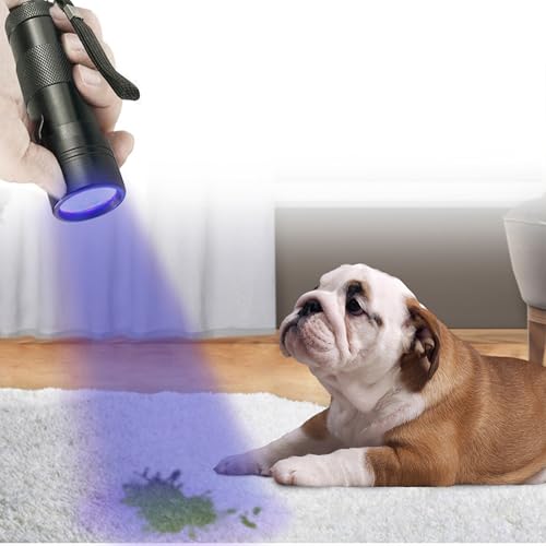 UV Flashlight Pet Stain Detector - Mini Handheld Black Light