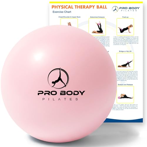 9-Inch Pilates Ball - Anti-Burst PVC, Between-Knees Stability - Rose