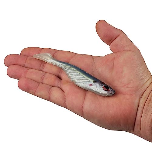 Ripple Shad Fishing Soft Bait - HD Gizzard Shad, 5 Inch