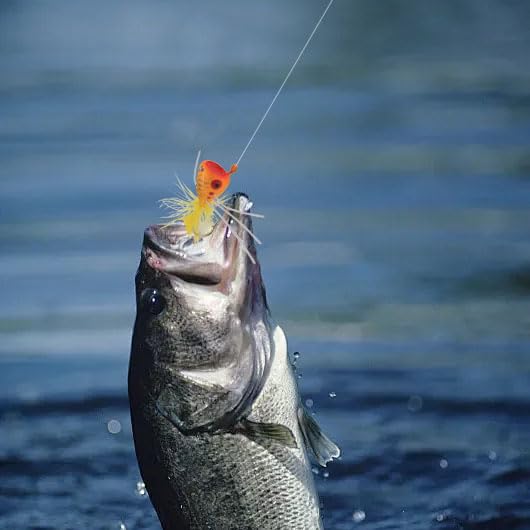 FishingPepo 10pcs Fly Fishing Poppers Set for Bass Trout & Panfish - New Design