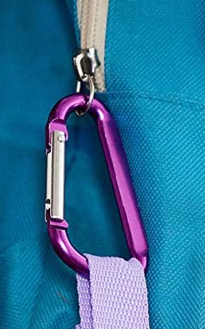 5pc 3-Inch Aluminum D-Shape Carabiner Keychain Clip Set - Durable Snap Hook