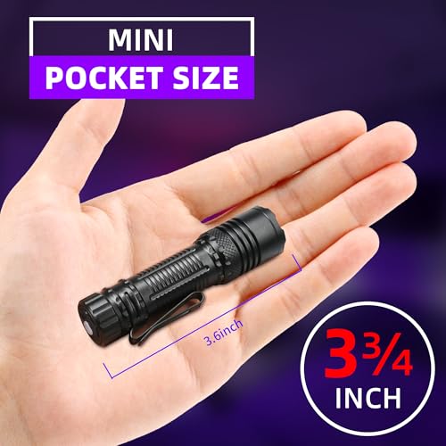 Darkbeam 395nm UV Flashlight Mini Rechargeable Black Light for Pet Stains & UV Detection