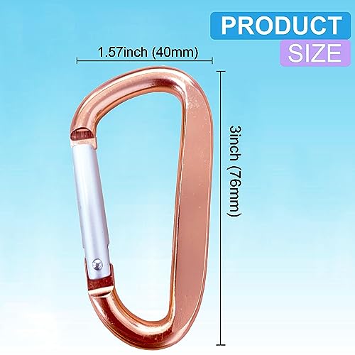 3-Inch Aluminum Alloy D-Ring Carabiner Clip - 2 Pack Rose Gold