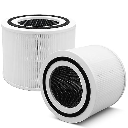 2 Pack 300 Replacement Filter Compatible with 300, 300-RF, 300S, 3-in-1 H13 Grade 300 Filter, Part # 300-RF (2 Pack)