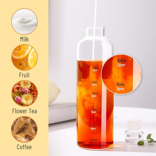 Clear Glass Water Bottle with Time Marker - 17 oz Hydration Tracker