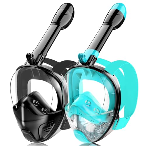 Full Face Snorkel Mask with Detachable Camera Mount - Black Green+Black-S/M
