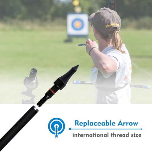 100 Grain Archery Arrow Tips - 12 Pack Field Points, 5/16" Diameter