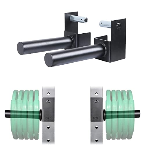 SYL Fitness Olympic Weight Plate Holder for 3x3 Inch Square Tube Power Racks - 2" Plate Storage, Fits 1" & 5/8" Holes, Heavy Duty Steel