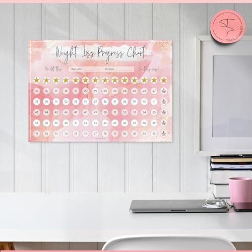 Weight Loss Progress Chart Poster with 88 Gold Star Stickers - A4 Pink