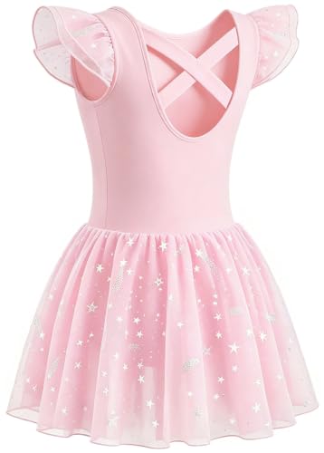 Toddler Girl Ballet Leotard Dress with Shiny Star Skirt - Ballet Pink, 4-6 Years