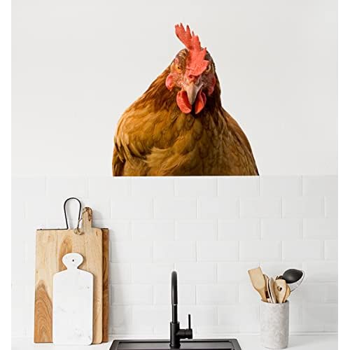 Chicken Brown Hen Looking at You Wall Decal - Peel and Stick Decoration for Room, Bedroom, Window, Store Showcase, Classroom, Car - Cute Chicken Head Sticker