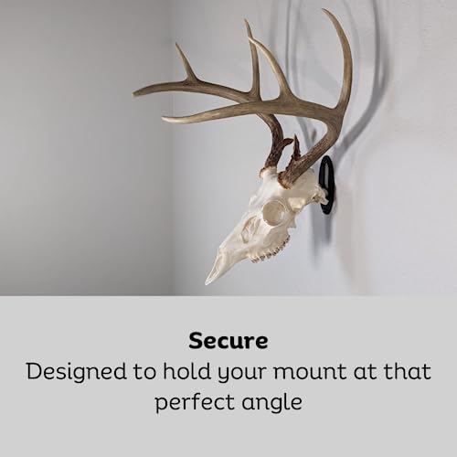 Kabash Outdoors European Deer Skull Mounting Kit - Made in USA, Quick Install, Includes Hardware — Variation 1