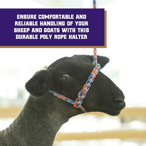 Adjustable Soft Braid Sheep Halter - 3/8" x 10"