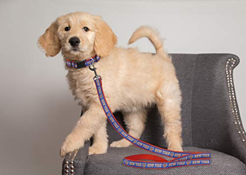 NBA New York Knicks Dog Leash - Medium Heavy-Duty Nylon